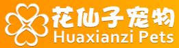 通用的占位符缩略图